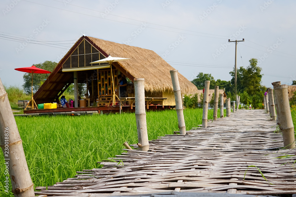 Bamboo bridge in Thailand