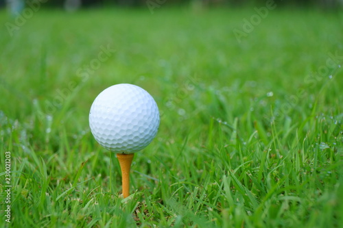 Golf ball and tee on golf green course background
