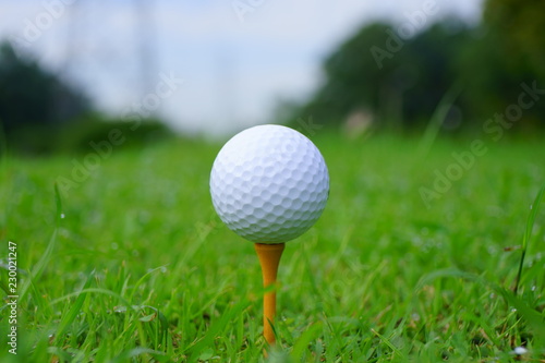Golf ball and tee on golf green course background