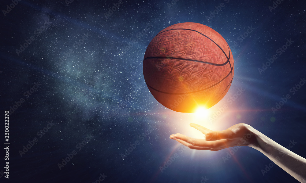 Obraz premium Basketball game concept
