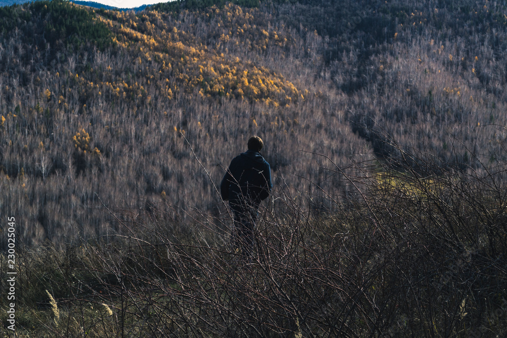 Naklejka premium Autumn mountain forest landscape