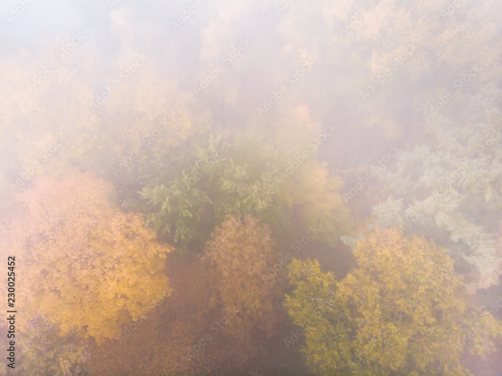 tree tops with yellow and orange foliage under heavy fog. park in autumn top view tree tops with yellow and orange foliage under heavy fog. park in autumn top view