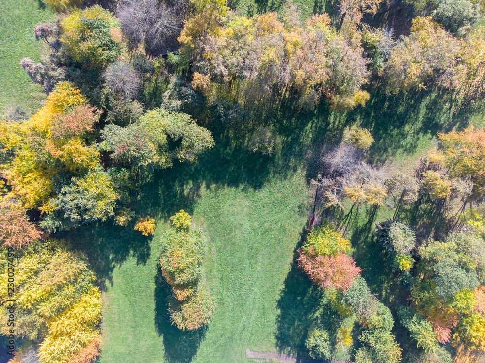 natural park scene with yellow trees during sunny day. autumn landscape. aerial view natural park scene with yellow trees during sunny day. autumn landscape. aerial view