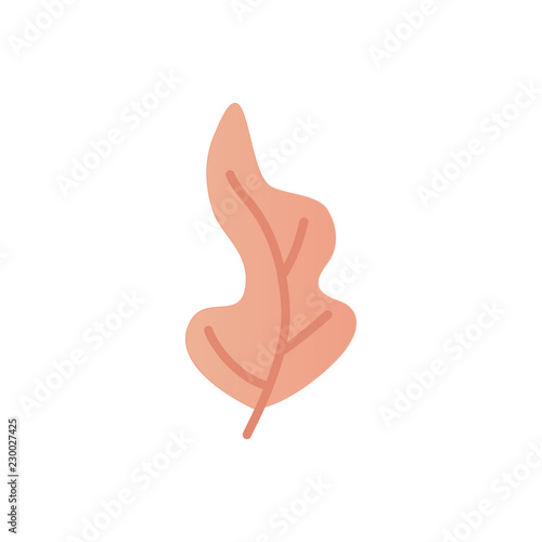 Vector illustration of fantasy leaf or tree colored in orange gradient isolated on white background - botanical decorative element for floral natural design in flat style.