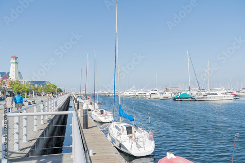Dock with sailboats