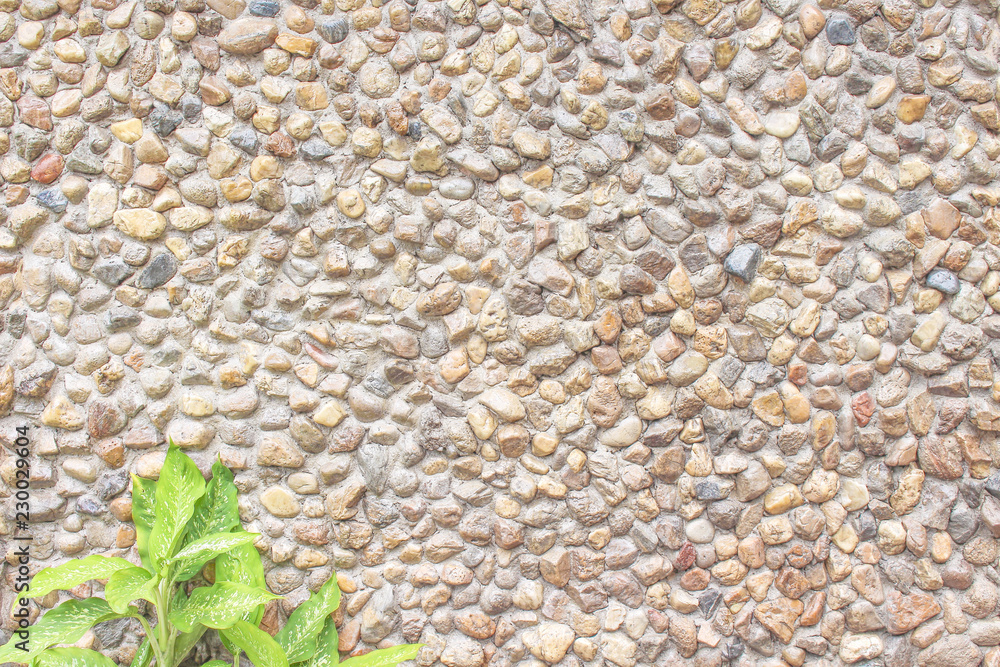 Modern style natural patterns decorative uneven mix real stone wall texture on concrete background and flower leaf Modern style natural patterns decorative uneven mix real stone wall texture on concrete background and flower leaf