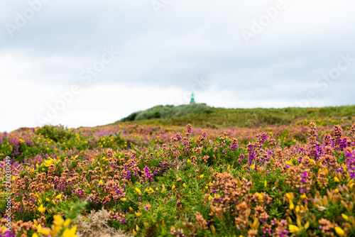Photos Cap Fréhel