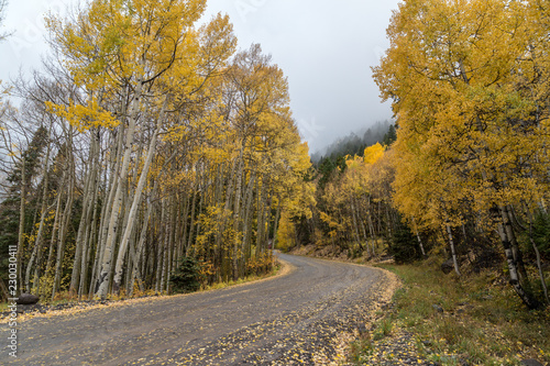 Winding rural road scenic mountain colorado fall autumn color aspens
