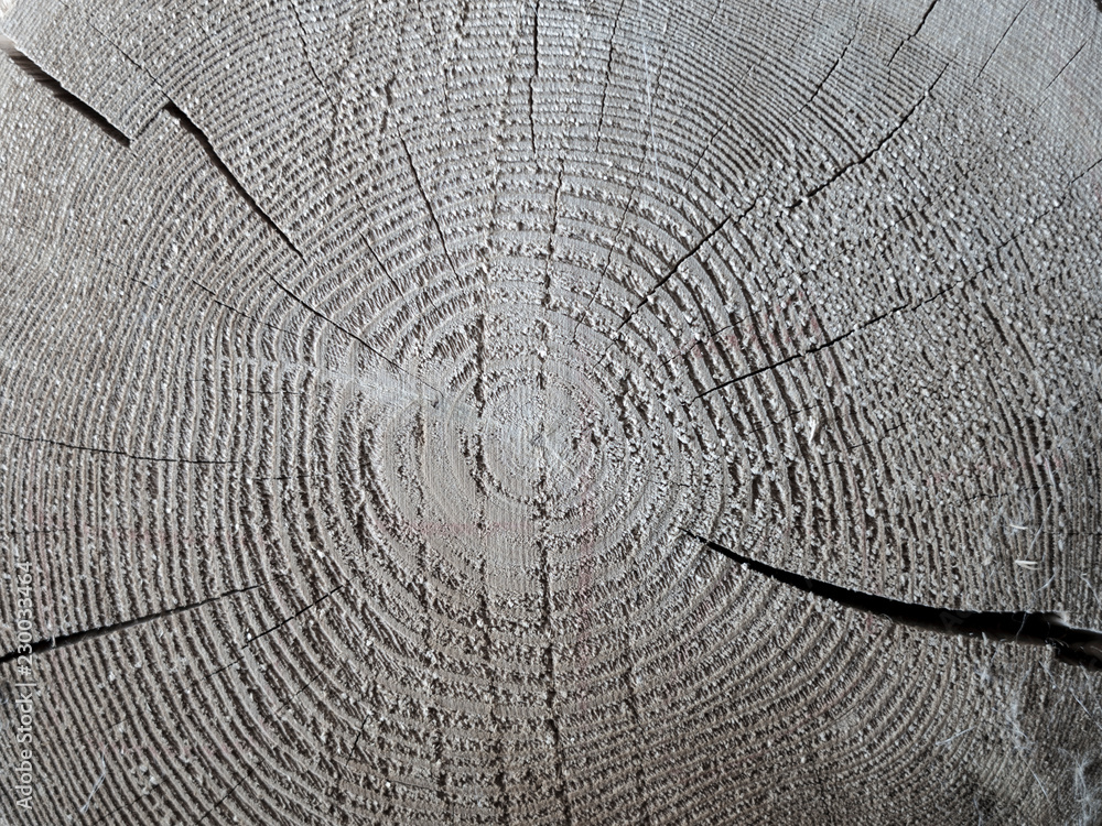 Fototapeta premium Wooden texture background, grunge style. Nature grey and brown surface.