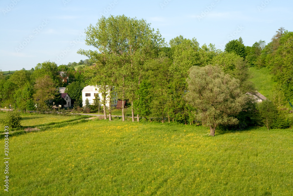 Obraz premium Countryside landscape