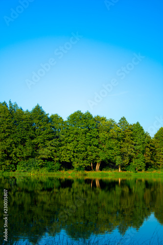 landscape with river and trees