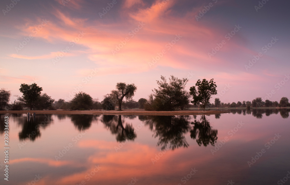 sun rise at al Qudra nature reserve near Dubai