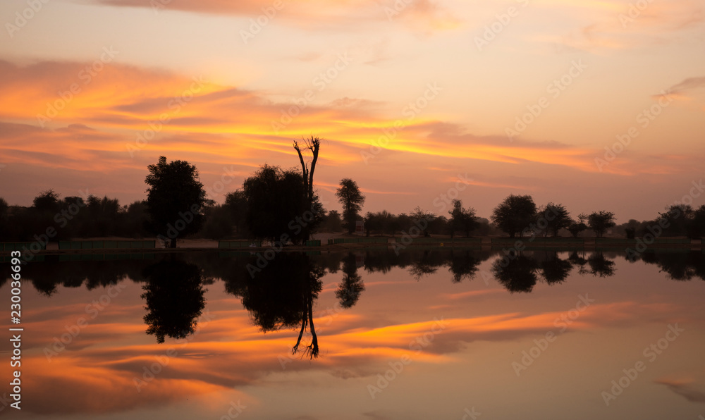 Fototapeta premium sun rise at al Qudra nature reserve near Dubai