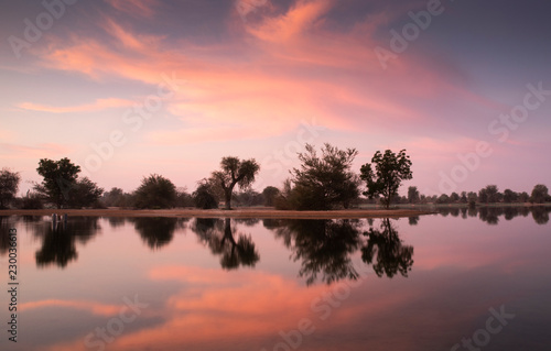 sun rise at al Qudra nature reserve near Dubai photo
