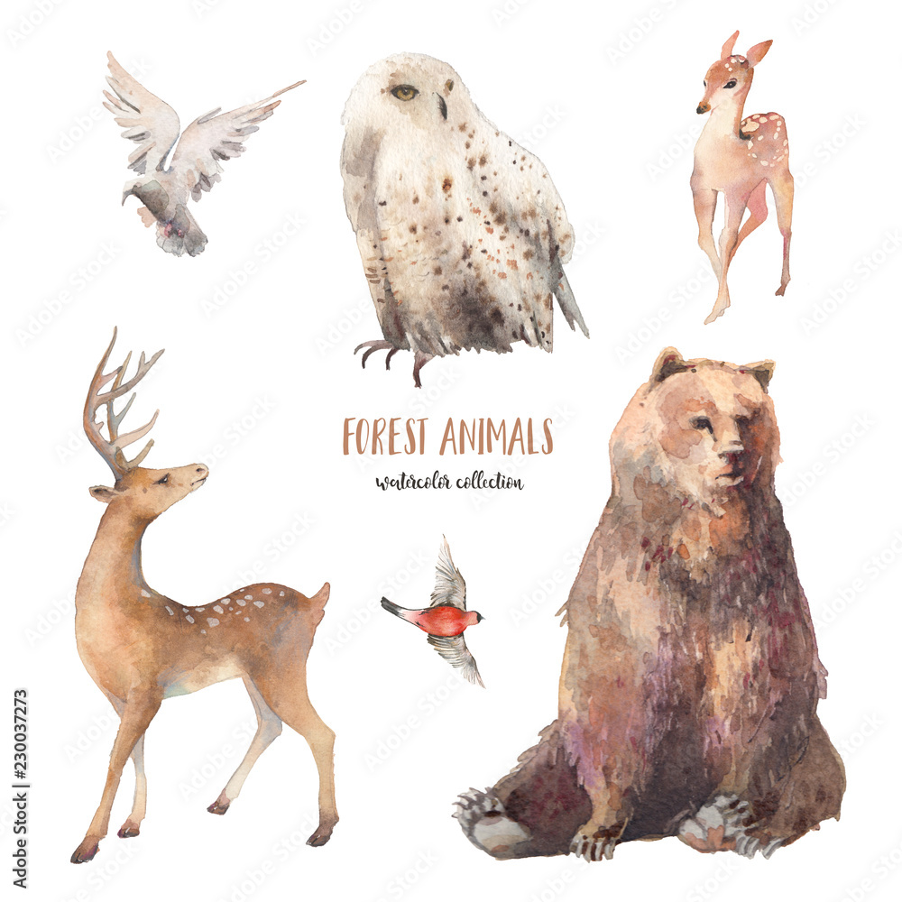 248,600+ Winter Animals Stock Illustrations, Royalty-Free Vector