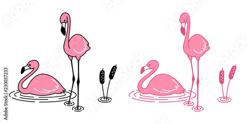pink flamingo vector cartoon icon character logo flamingos illustration exotic bird Cute animal tropical fauna