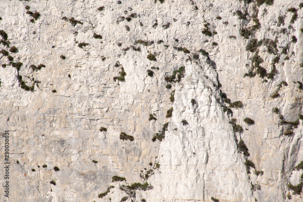 Detail of large chalk cliff face Detail of large chalk cliff face