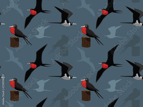 Bird Frigatebird Wallpaper