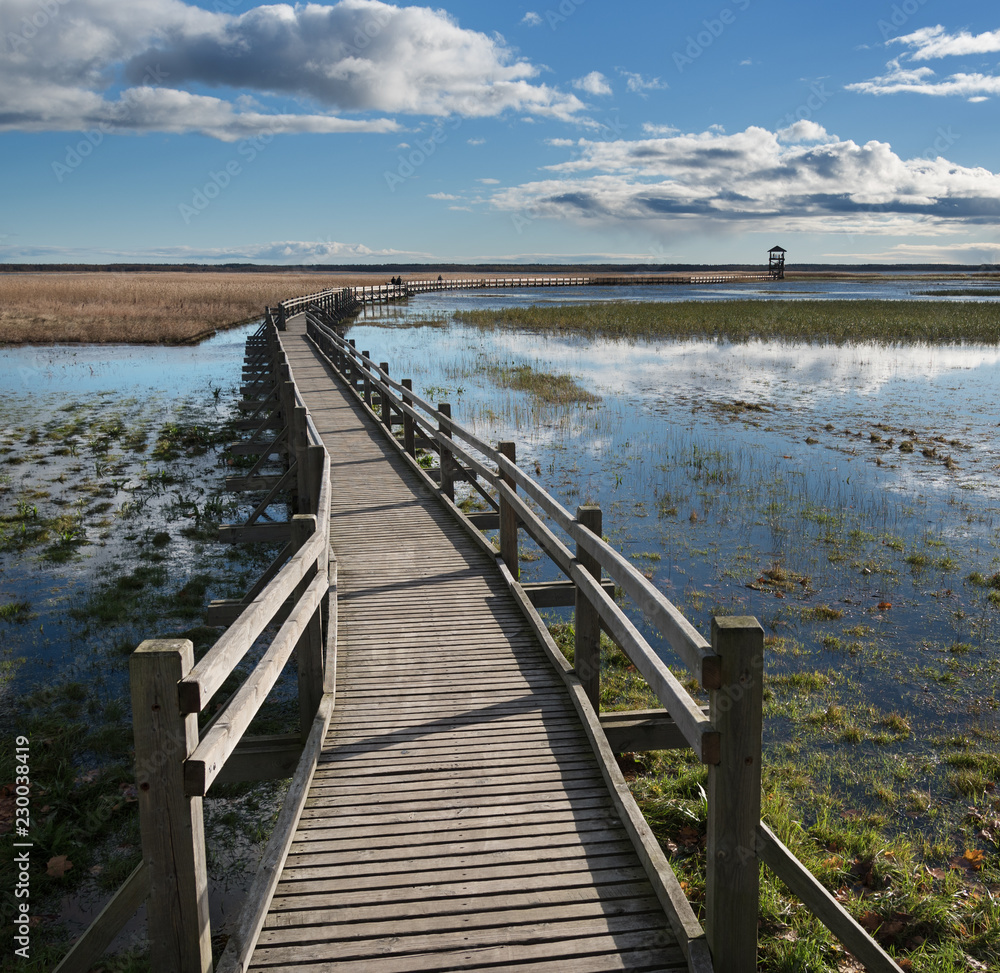 Fototapeta premium Wooden path to the lake.