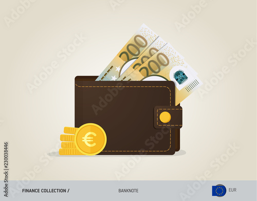 Brown leather wallet with 200 Euro Banknote and coins. Flat style vector illustration. Business concept.
