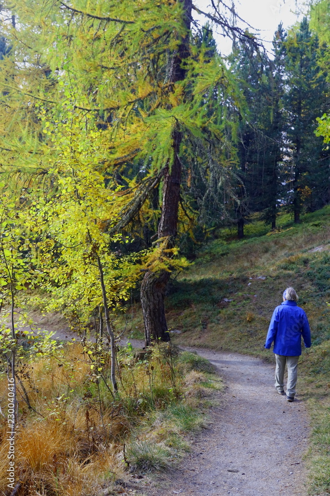 Fototapeta premium Goldener Oktober im Engadin