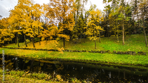 Fototapeta Naklejka Na Ścianę i Meble -  Fallen leaves on road in the forest, autumn landscape, nature trail, river in the park