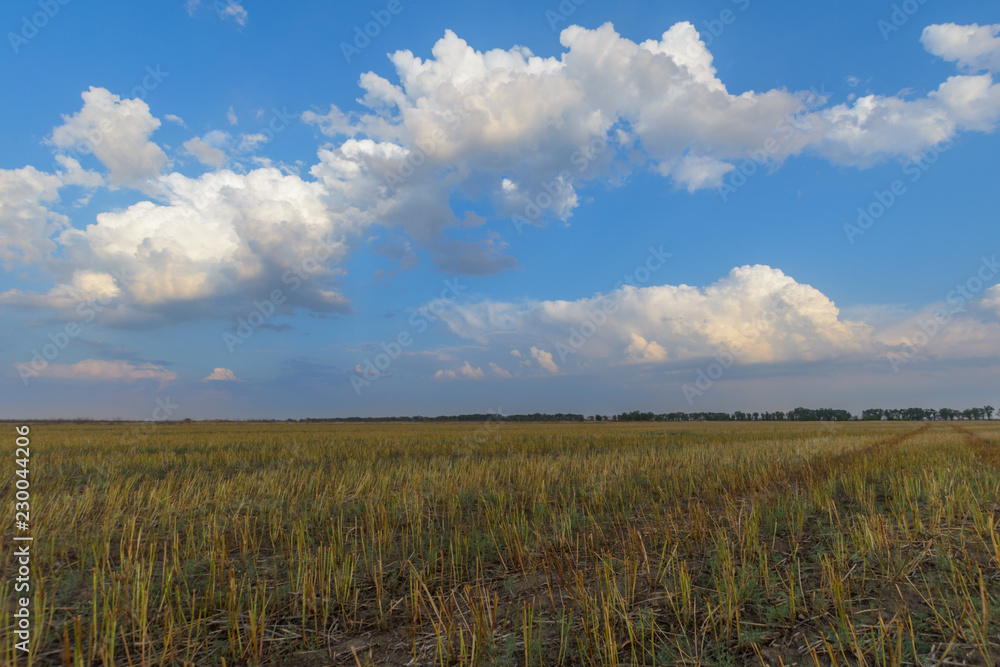 Sloping field and blue sky with clouds.