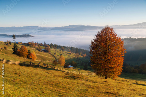 Foggy morning in Bucovina. Autumn colorful landscape in the romanian village photo