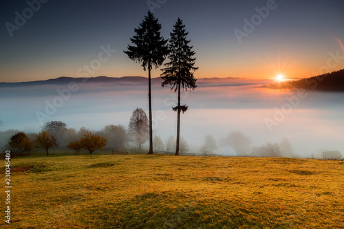 Foggy morning in Bucovina. Autumn colorful landscape in the romanian village photo