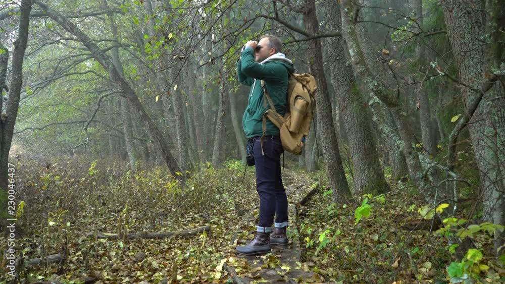 A middle-aged man with a backpack walks along an ecological natural educational trail through the northern autumn forest. Watching wildlife with binoculars in a nature park in Finland. A middle-aged man with a backpack walks along an ecological natural educational trail through the northern autumn forest. Watching wildlife with binoculars in a nature park in Finland.
