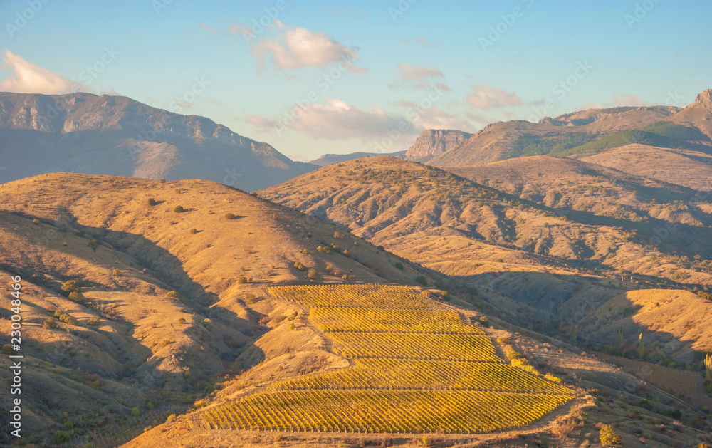 Mountain landscape with peaks and vineyards on the slopes