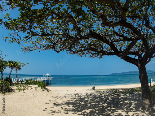 Large Tree with Shadows in Front of Pier over a Tropical Clear Blue Sandy Beach in Ishigaki, Okinawa Japan © Martin