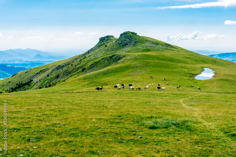 Obraz premium View in the Catalan Pyrenees Mountains.