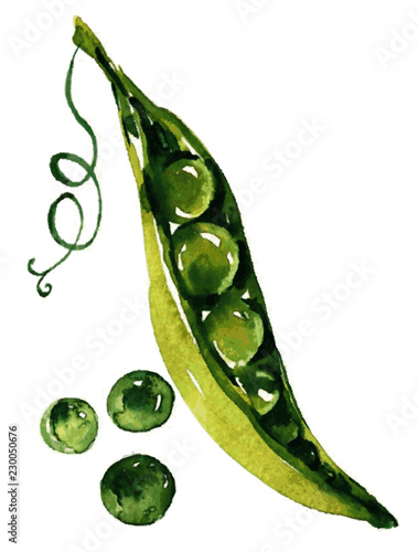 green peas in a pod