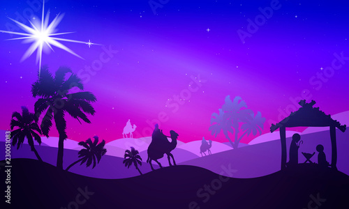 night starry desert landscape at christmas © kraft2727