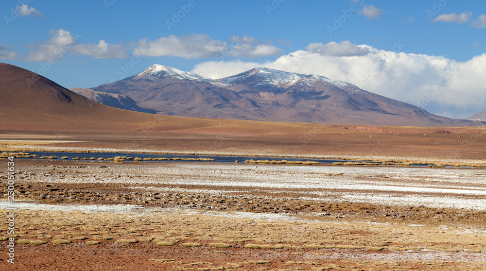 Fototapeta premium Atacama Wüste