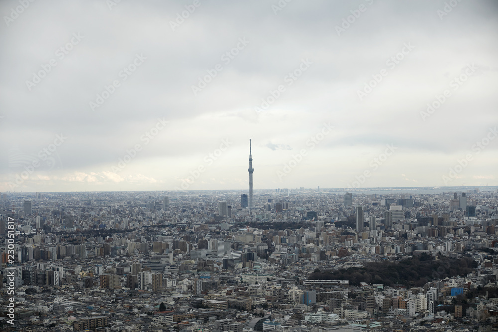 Fototapeta premium 東京風景 曇り空