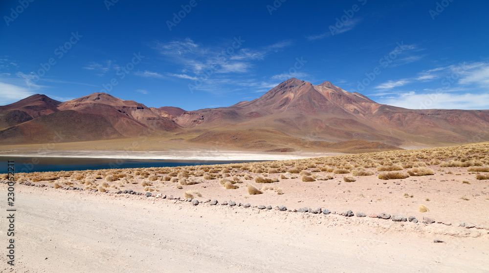 Fototapeta premium Laguna Miscanti