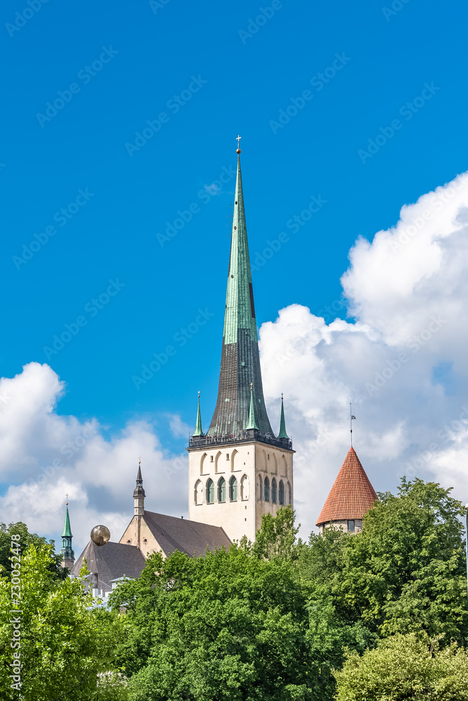 Tallinn in Estonia, panorama of the medieval city with Saint-Nicolas church, colorful houses and typical towers
Tallinn in Estonia, panorama of the medieval city with Saint-Nicolas church, colorful houses and typical towers