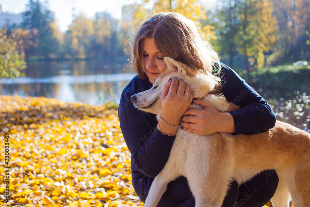 Young woman on a walk with her dog breed Akita inu Young woman on a walk with her dog breed Akita inu