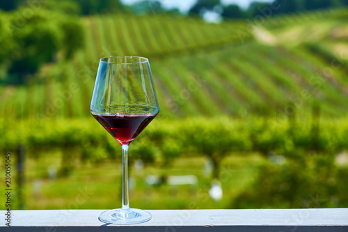 Obraz na płótnie Glass of red wine and vineyards w salonie