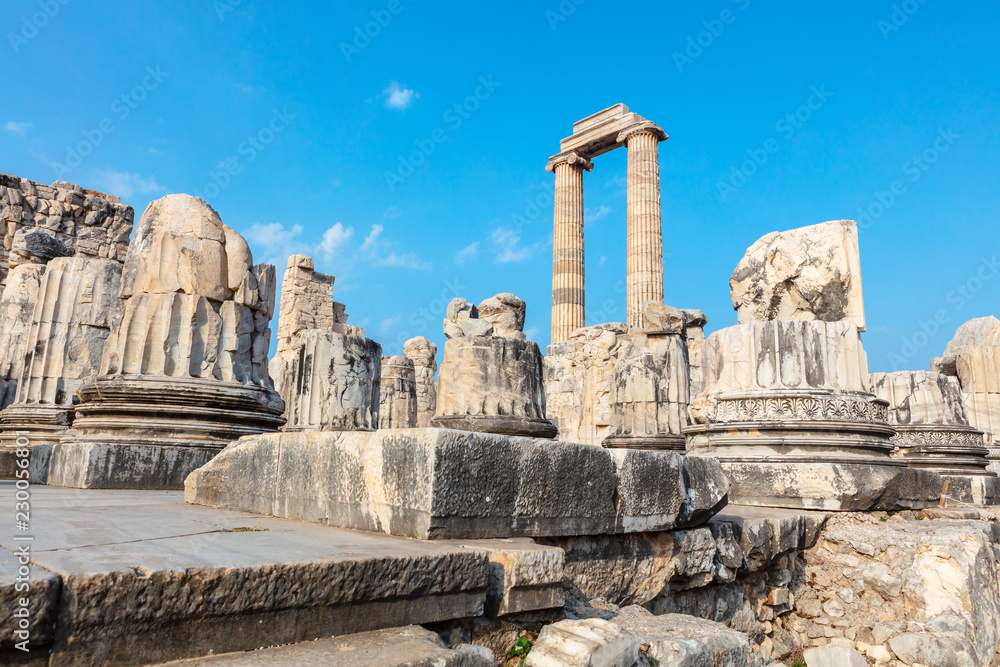 The historical ruins of the Temple of Apollo located in Didim at Aydn Province of Turkey.