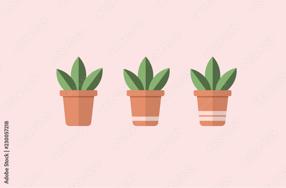 Vector of three square flower pots with succulent plants with simple striped design. Vector of three square flower pots with succulent plants with simple striped design.
