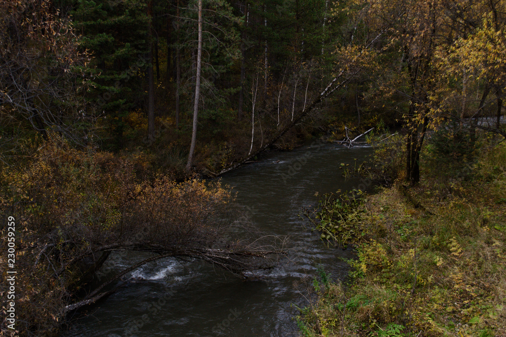 Obraz premium Autumn mountain forest landscape with roads and rivers