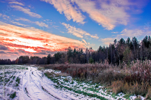 snowy meadow in the forest