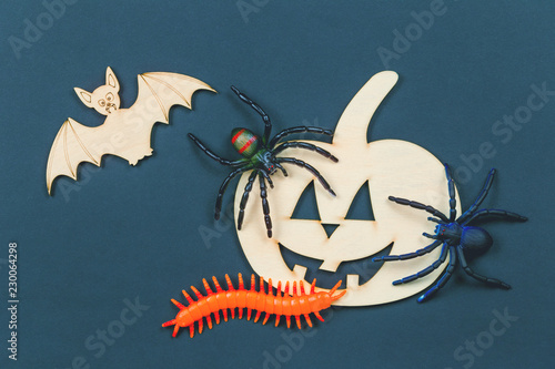 Do it yourself Halloween pumpkin and vampire bats and spiders photo