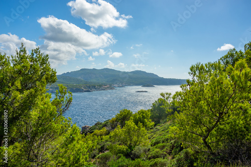 Mallorca, Reisen, Urlaub, Länder, Pflanzen, Abenteuer, Meer, Wasser, Strand, Reisen © BerndVollmer