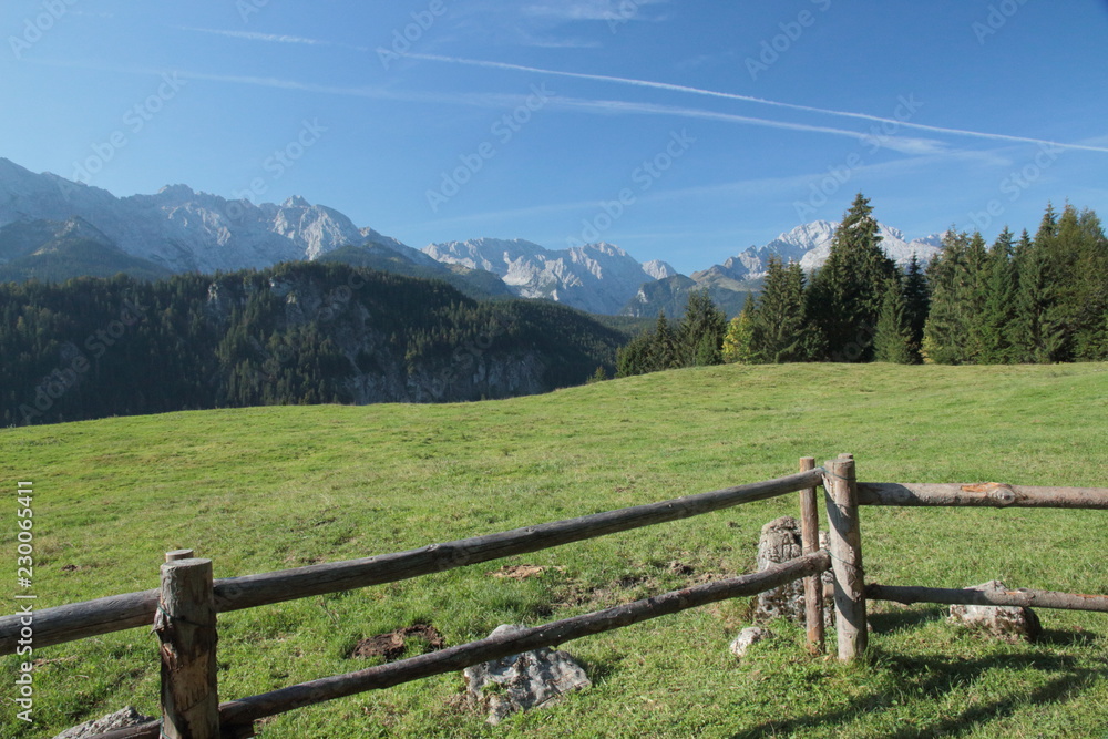 Alwiese im Hochgebirge