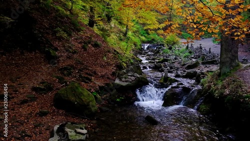 Tranquil waterfall scenery in the middle of autumn forest. Autumn forest creek