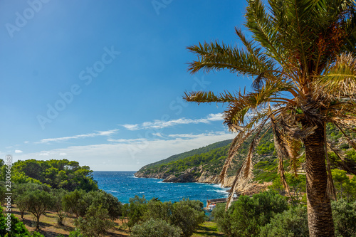 Mallorca, Reisen, Urlaub, Länder, Pflanzen, Abenteuer, Meer, Wasser, Strand, Reisen
